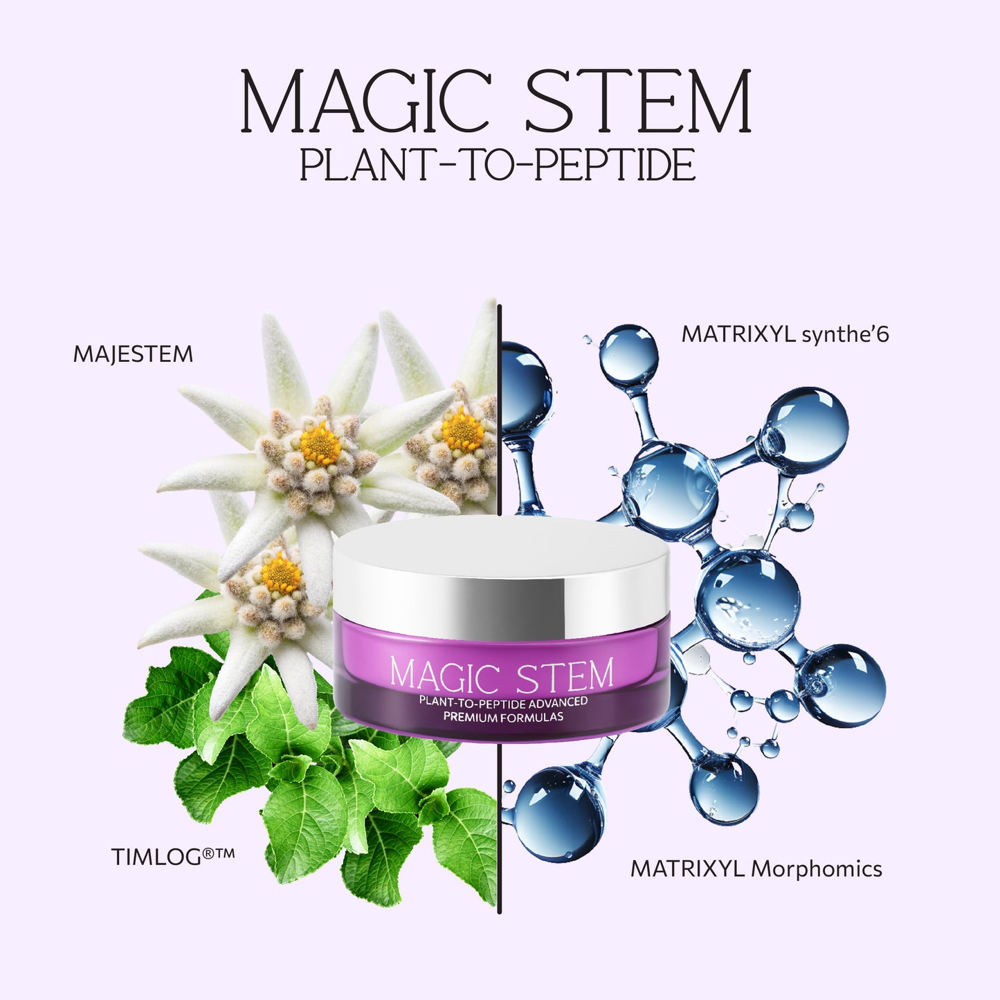 MAGIC STEM, PLANT TO PEPTIDE CREAM, 70ML AURORA